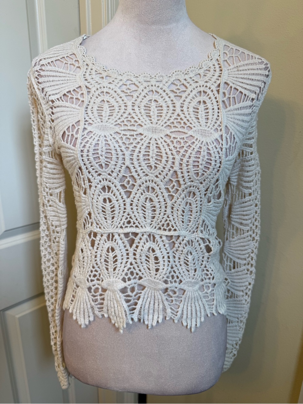 Rebellion Crochet Lace Long-Sleeve Top - Ivory
